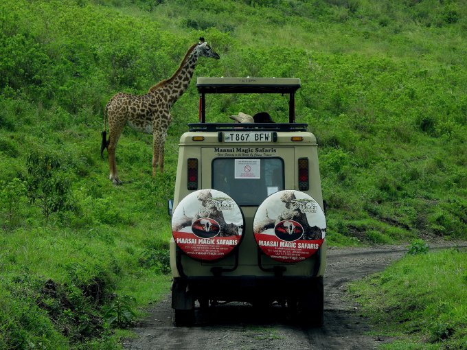 Safarii w Tanzanii